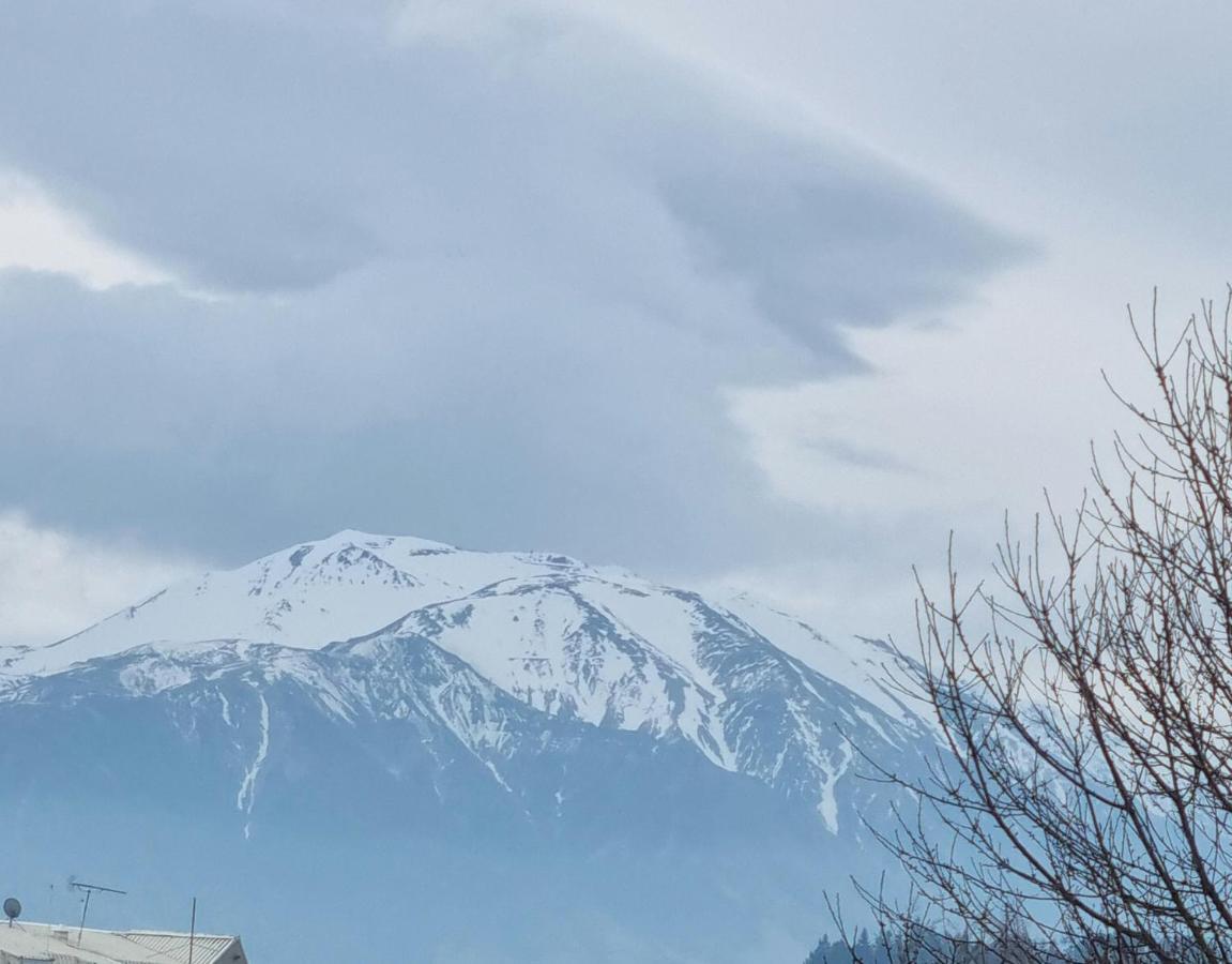 Methven Motel & Apartments Dış mekan fotoğraf